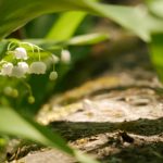 智能换脸:颠覆传统影视制作的新技术与应用前景 0w288mge3u