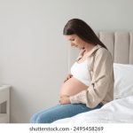 最新导航发布页地址查询与使用指南 11sxgd19