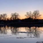 揭秘17cc网黑料爆料官网蘑菇背后的真相与内幕 c4an3tt