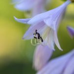 揭秘182特殊意思背后的深层含义与文化背景 oxs3z4