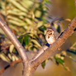 插画网站:探索创意无限的艺术世界与灵感源泉 t42mkdct